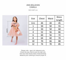 Load image into Gallery viewer, Ana Balahan Camila Beautiful Lace Flower Girl Dress in Mauve colour Size Chart