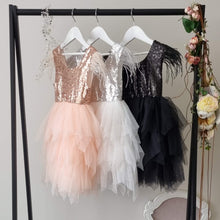 Load image into Gallery viewer, Emily - birthday fancy dress