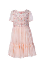 Load image into Gallery viewer, Meadow - Embroidered blush tulle dress