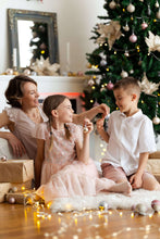 Load image into Gallery viewer, Meadow - Embroidered blush tulle dress