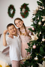 Load image into Gallery viewer, Meadow - Embroidered blush tulle dress