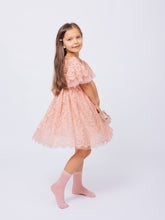 Load image into Gallery viewer, Ana Balahan Camila Girl in medium length Dusty rose Color birthday dress
