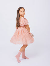 Load image into Gallery viewer, Ana Balahan Camila Girl in medium length Dusty rose Color birthday dress
