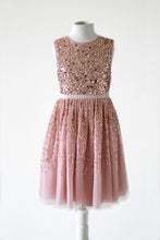 Load image into Gallery viewer, Ninel Blush seqiun dress front view