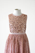 Load image into Gallery viewer, Ninel Dusty pink festive gown embroidered with seqiuns front view