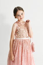 Load image into Gallery viewer, Ninel dusty pink cute sequined dress with crossbody bag Ana Balahan