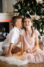Load image into Gallery viewer, Meadow - Embroidered blush tulle dress
