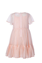 Load image into Gallery viewer, Meadow - Embroidered blush tulle dress
